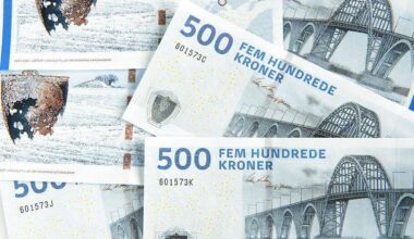 Vi kendte risikoen for fejl, siger minister om varmecheck-kaos [gammel artikel om sidste gang Socialdemokratiet stod foran et Folketingsvalg]