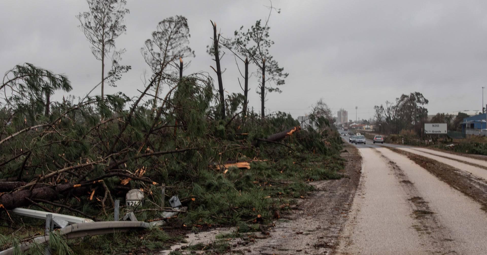“Protejam-se primeiro, consertem as casas depois”: autarquia da Batalha faz apelo após morte de homem que caiu a arranjar telhado