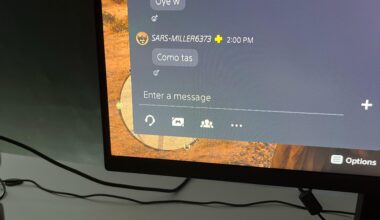 Can anybody translate