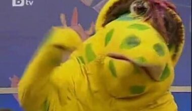 Дами и господа, представям ви... най-големият дилър в България