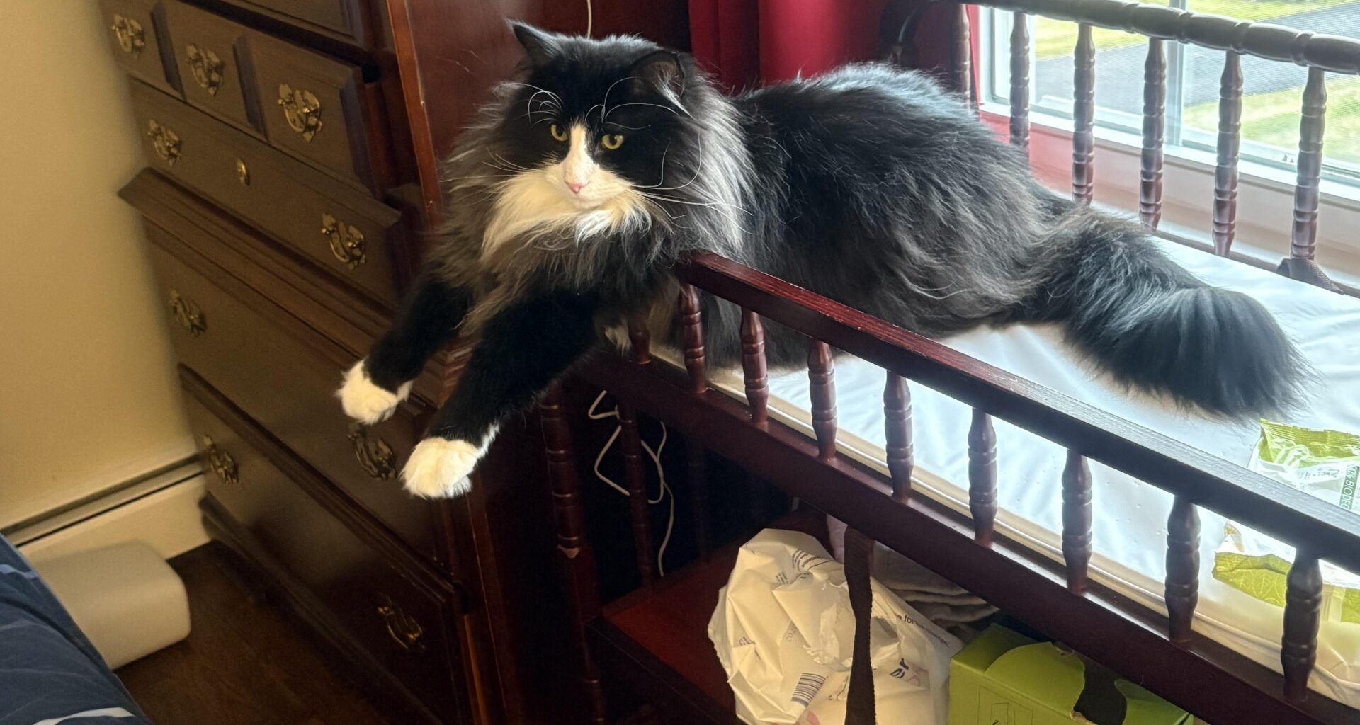 Aurora with kids and general travel questions