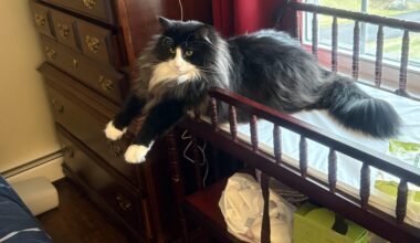 Aurora with kids and general travel questions