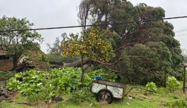 Só quem passa por elas dá o valor…