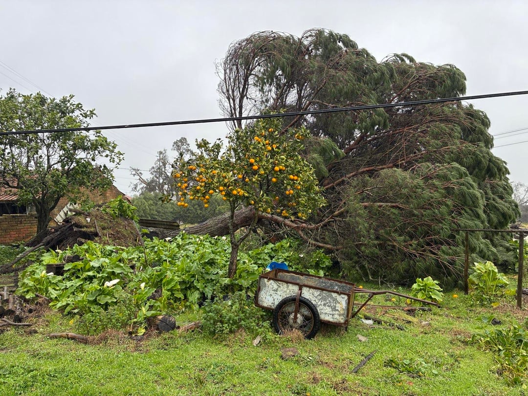 Só quem passa por elas dá o valor…