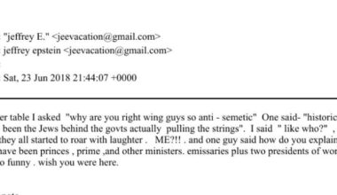 Încă un paradox al subteranistilor. Evreii sunt în spatele partidelor de extremă dreaptă. "Historically we all know its actually the Jews behind the govt's actually pulling the strings".