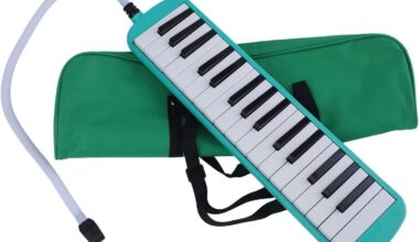 Melódica em vez de Flauta no ensino obrigatório, por que não?