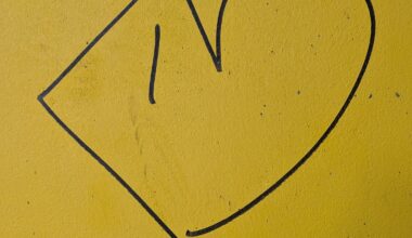 Jak byste tento pyčogram pojmenovali?