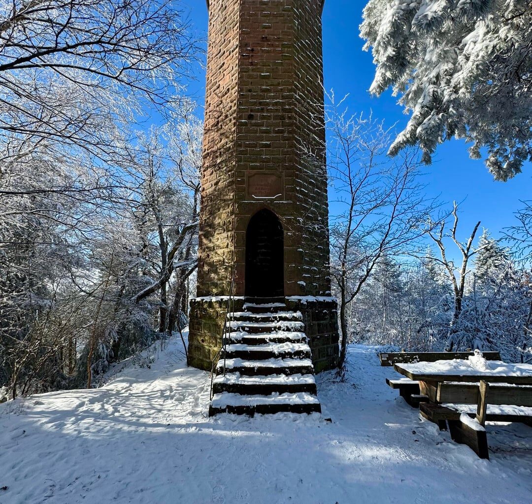 Snow in the palatinate