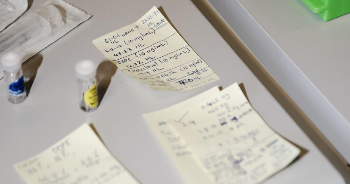 Forskernes usikre arbejdsforhold truer den frie tanke i Danmark - Selv om danske forskere ikke er underlagt samme politiske pres som i USA, kan vi ikke blot læne os tilbage og stole på, at tanken er fuldstændig fri her til lands. Desværre oplever vi det modsatte