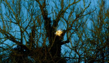 Full Moon on first day of February 2026.