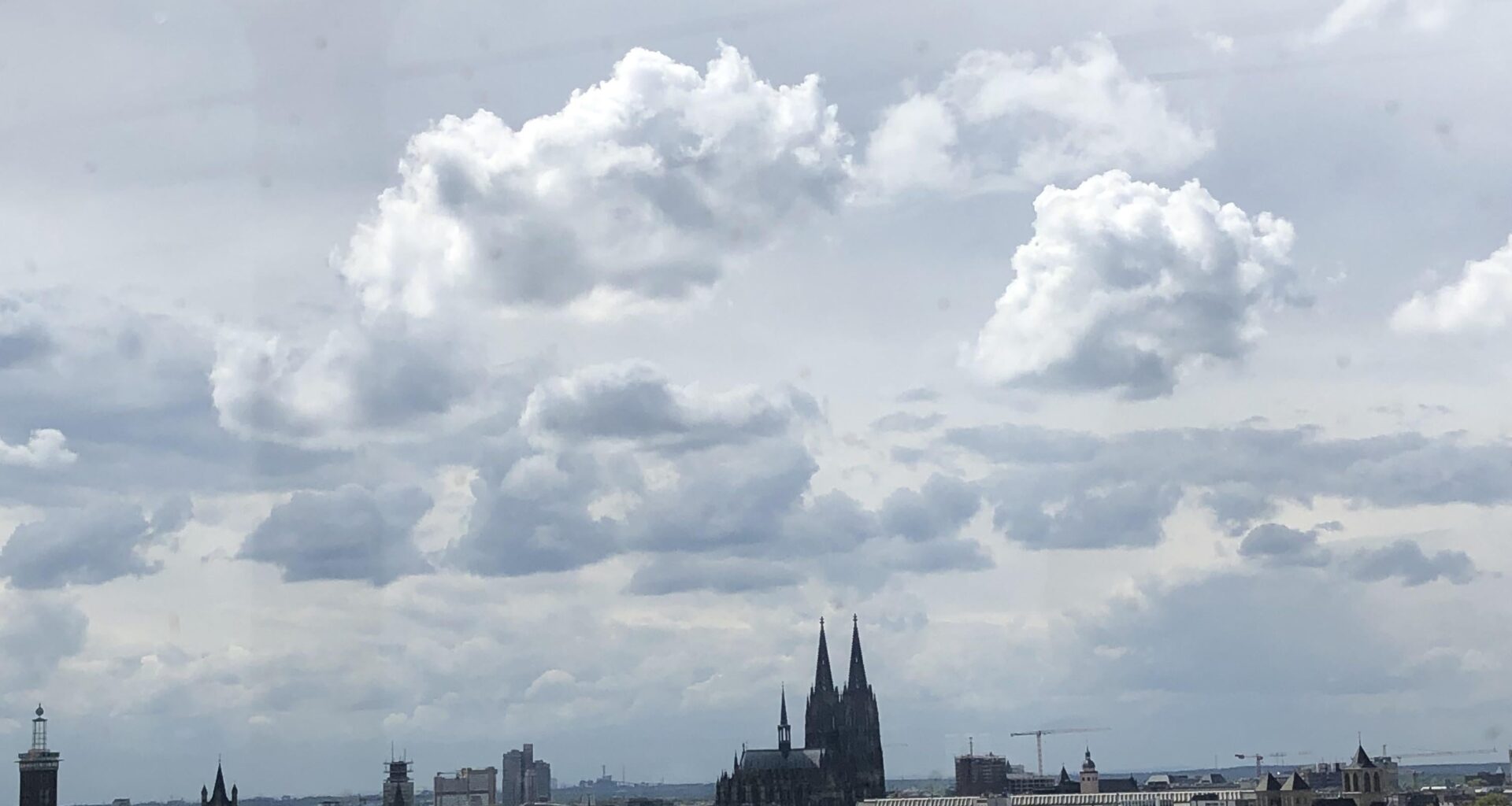 Can you see a heart in this photo?🧐