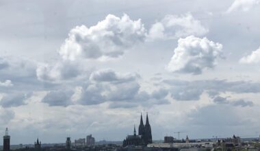 Can you see a heart in this photo?🧐