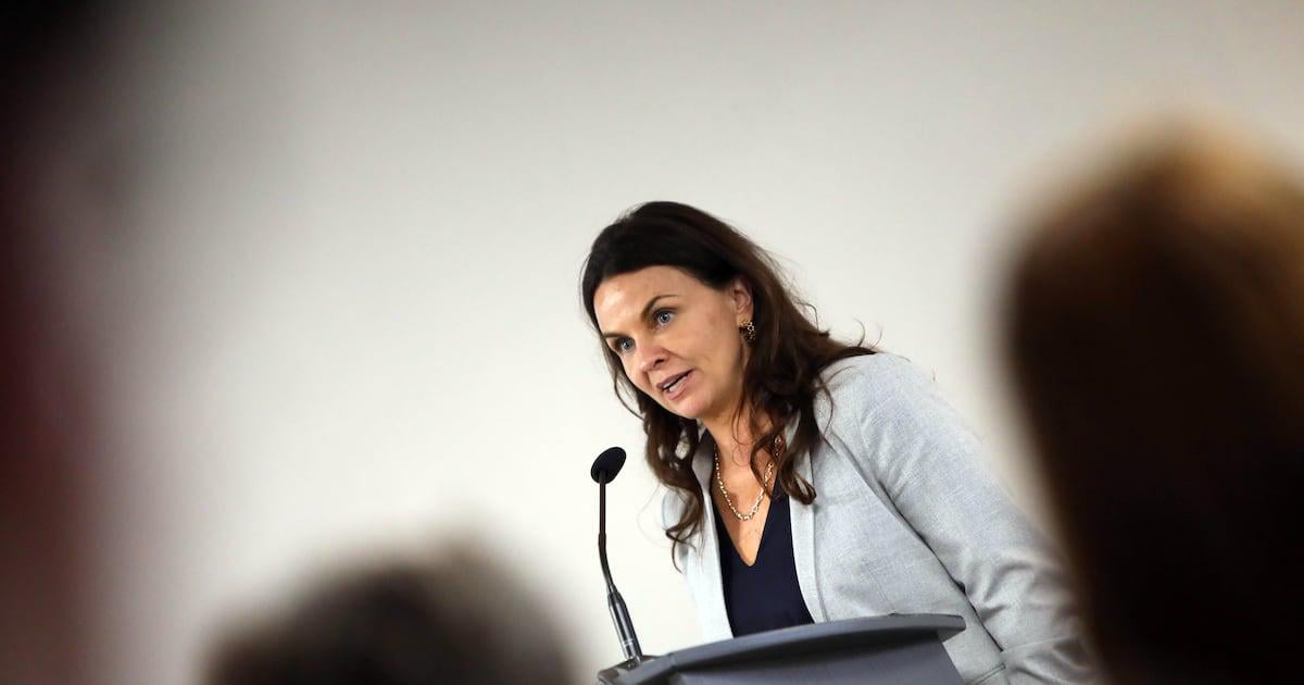 Tusla has ‘many objections’ to proposed law removing parental rights from killers