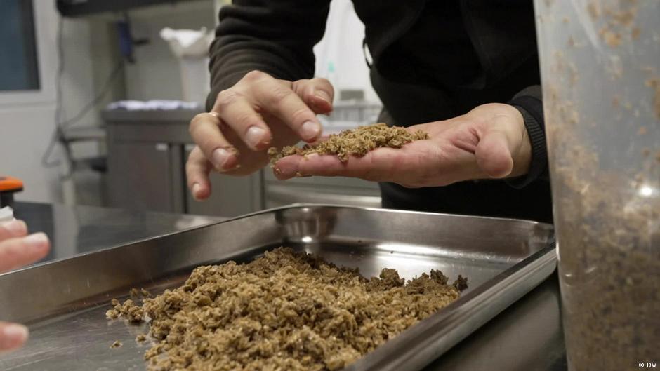 German startup develops vegan meat from brewery waste