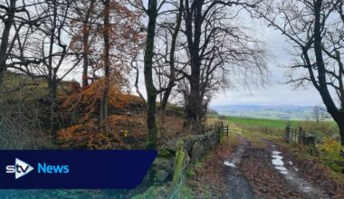 Polling finds ‘near universal support’ for protecting green belt land