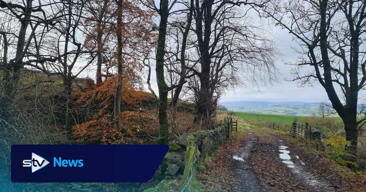 Polling finds ‘near universal support’ for protecting green belt land