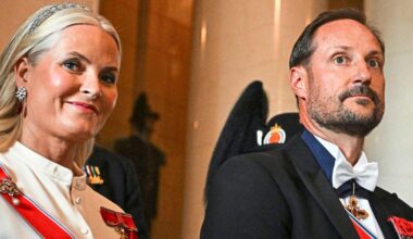 Österreicher*innen in Epstein-Files