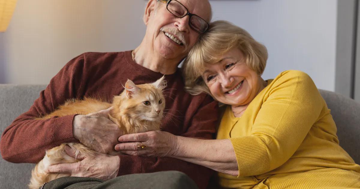 Victorie pentru pensionari. Eliminarea CASS la pensiile peste 3.000 lei, la Înalta Curte. Ce șanse sunt? • Newsweek România