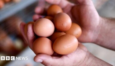 Egg warning due to PFAS near Thornton-Cleveleys chemical site