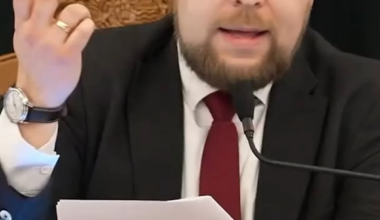 Büntetőeljárás indult a Fideszesek ellen Győr polgármesterének feljelentése nyomán