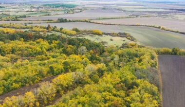 Slavujev lug je trajno sačuvan: „Potrebno je mnogo ovakvih šuma širom Srbije“
