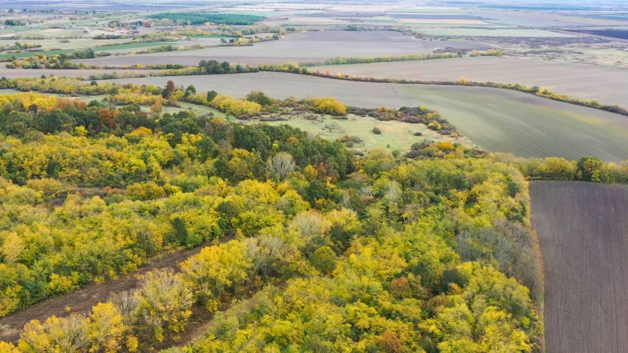 Slavujev lug je trajno sačuvan: „Potrebno je mnogo ovakvih šuma širom Srbije“