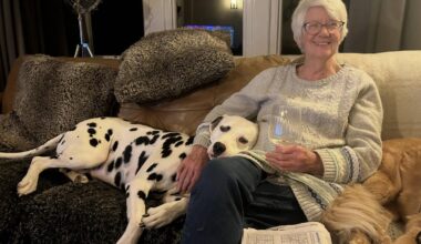 One in three Brits avoid A&E because of excessive waiting times