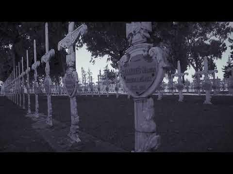 Бизерта: Срби у Тунису и Магребу (1916–1919.)