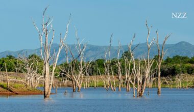 Galaxus and climate contribution