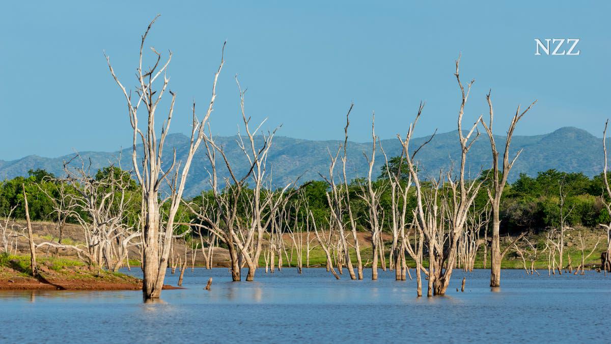 Galaxus and climate contribution