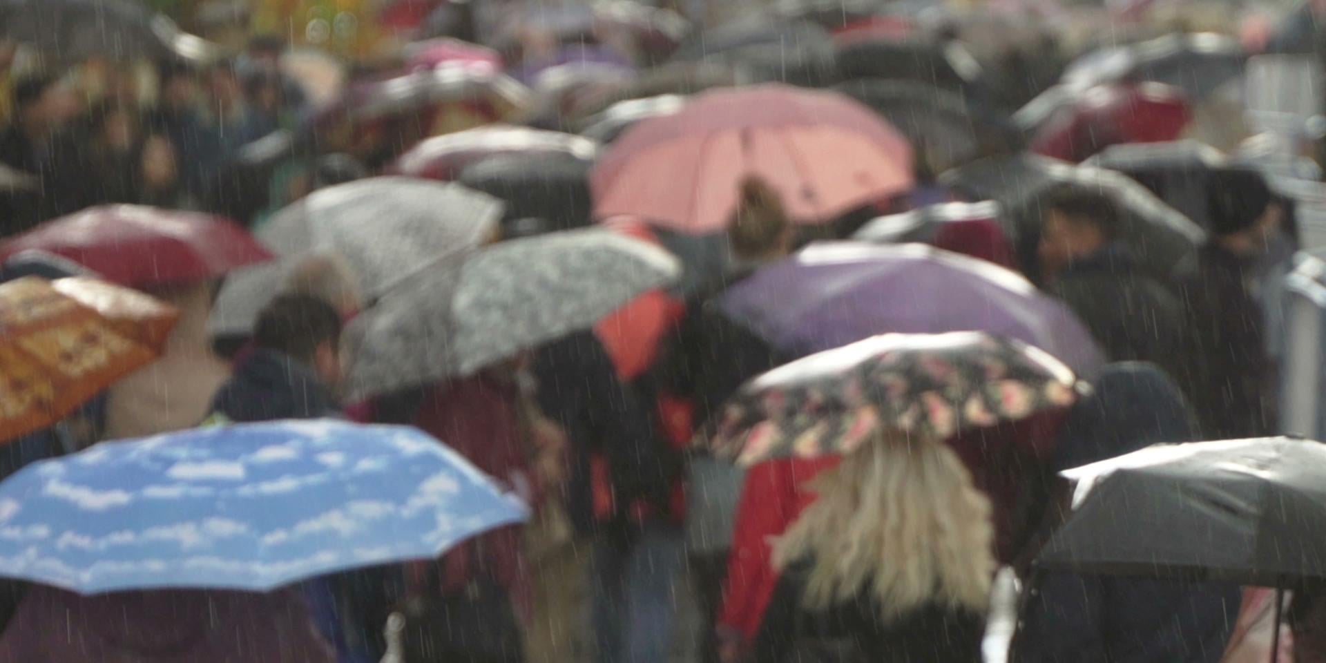 Northern Ireland sees wettest January in 149 years as 2026 gets off to a wet and windy start