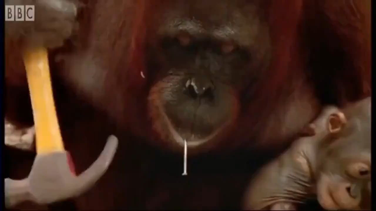 Moderátoři na Redditu: