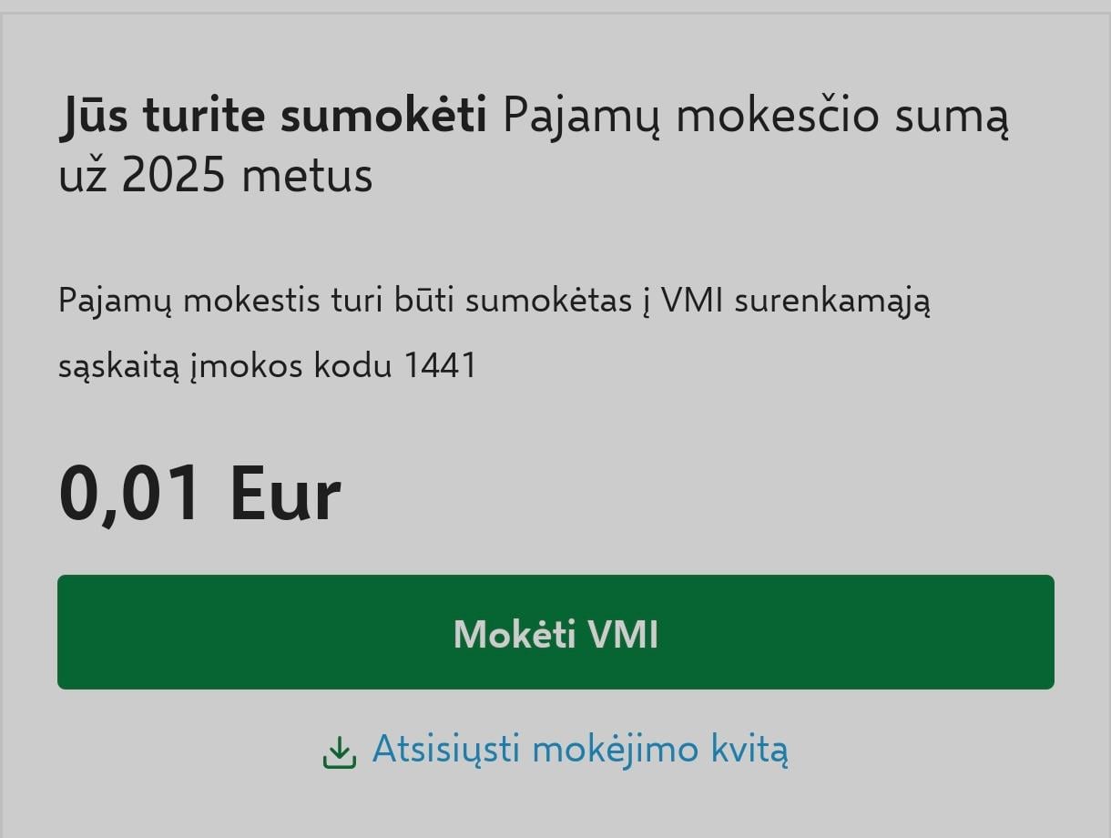 VMI deklaracija 2026