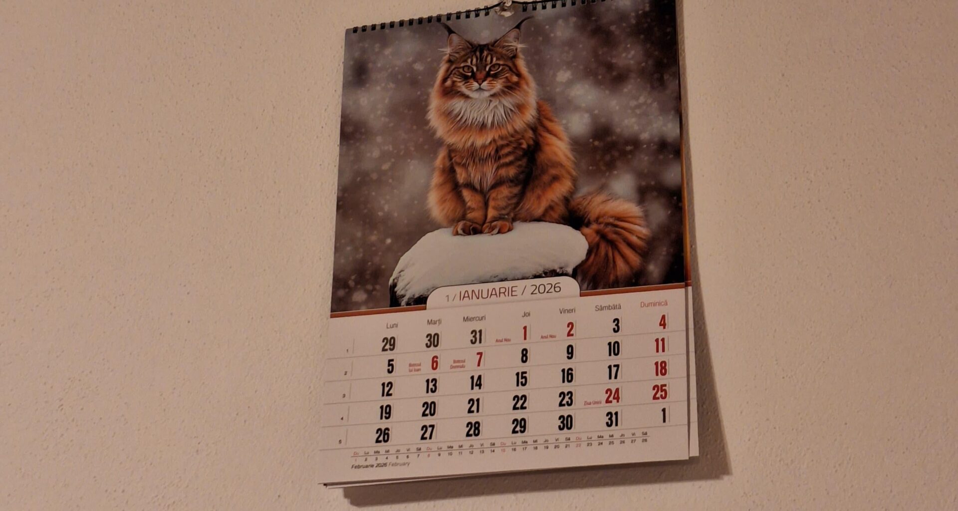 Mama a cumparat un calendar cu pisici facute cu AI si nu s-a prins nici pana acum.