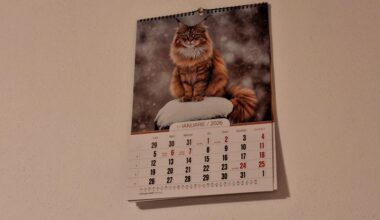 Mama a cumparat un calendar cu pisici facute cu AI si nu s-a prins nici pana acum.