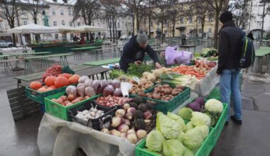 Borci proti mesu politično cenzurirali stroko?