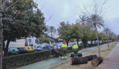 Espanha mobiliza, de forma preventiva, 250 efetivos da Unidade Militar de Emergência na Andaluzia, especializados em busca, resgate e evacuação de pessoas em zonas de difícil acesso e missões de limpeza de vias, escoramento básico de estruturas danificadas e movimentação de terras.