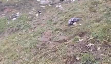 Mještani Paraga (najveće romsko naselje u hr) sami rješavaju problem smeća u naselju