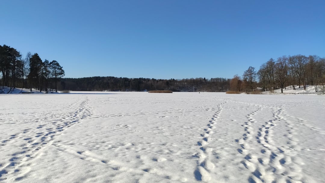 Iced Lentvaris