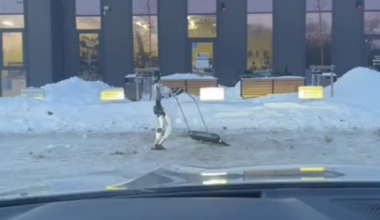 Tai kuris iš jūsų jau įdarbino robotą😆