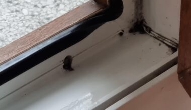 Čistenie odtokových kanálikov na plastových oknách