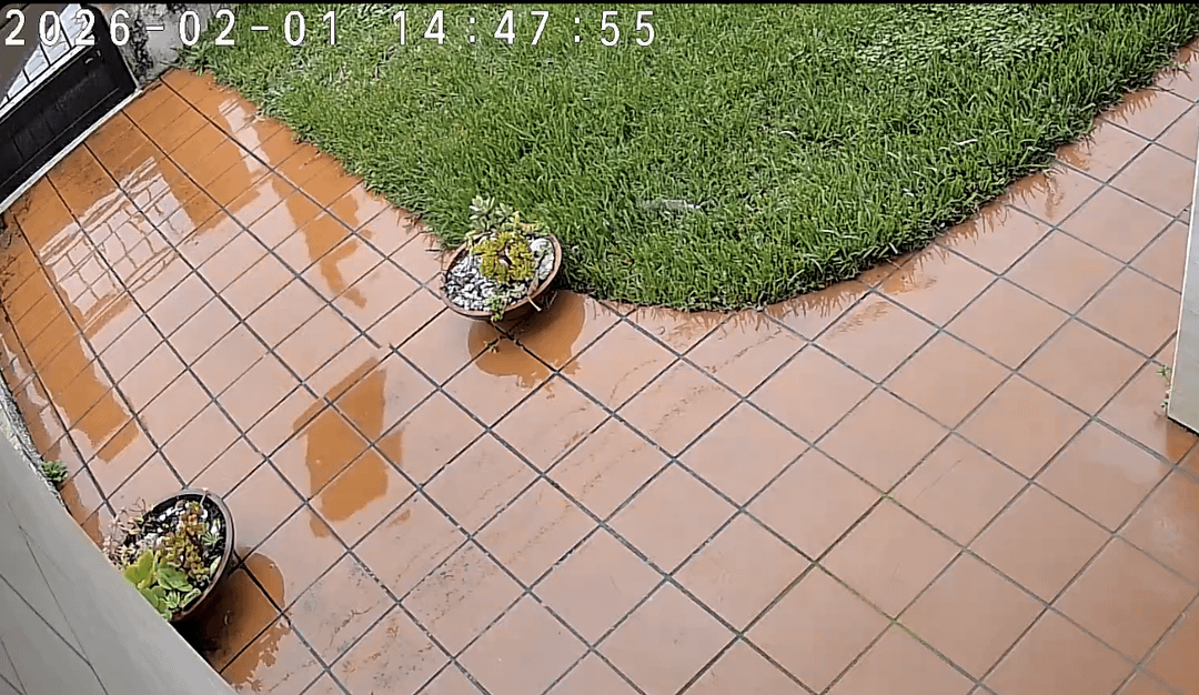 A Paack também vós entregam encomendas via aérea?