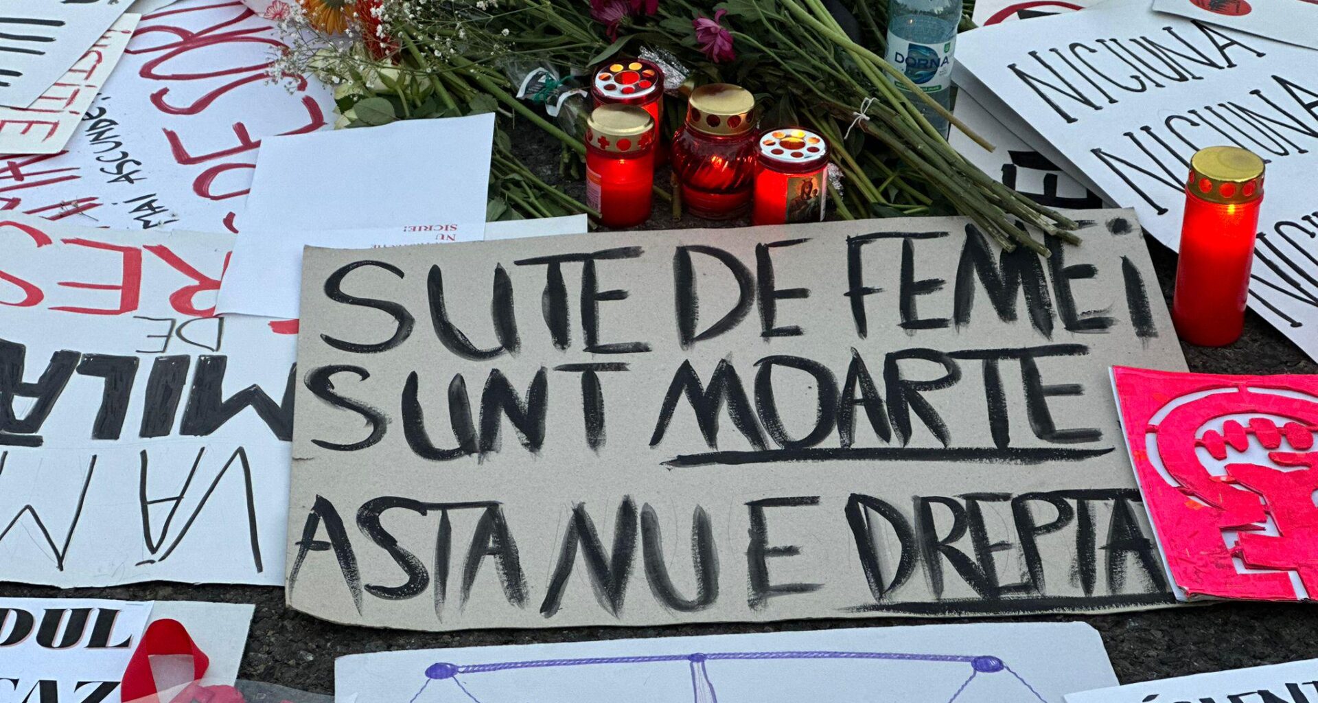 Proiectul care pedepsește femicidul la fel ca omorul calificat, adoptat de Senat / „Violența domestică degenerează în crimă”