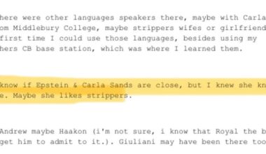 Den tidligere amerikanske ambassadør Carla Sands er nævnt i Epstein-filerne