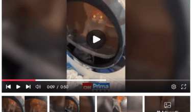 Tak a za těmahle týpkama bych klidně jel je fyzicky napadnout, i kdybych z toho měl mít problémy. Doufám, že vyfasujou.