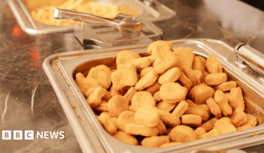 Chicken in many school dinners imported from China and Thailand