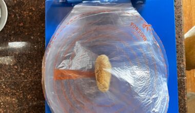 My karjalanpiirakka hack