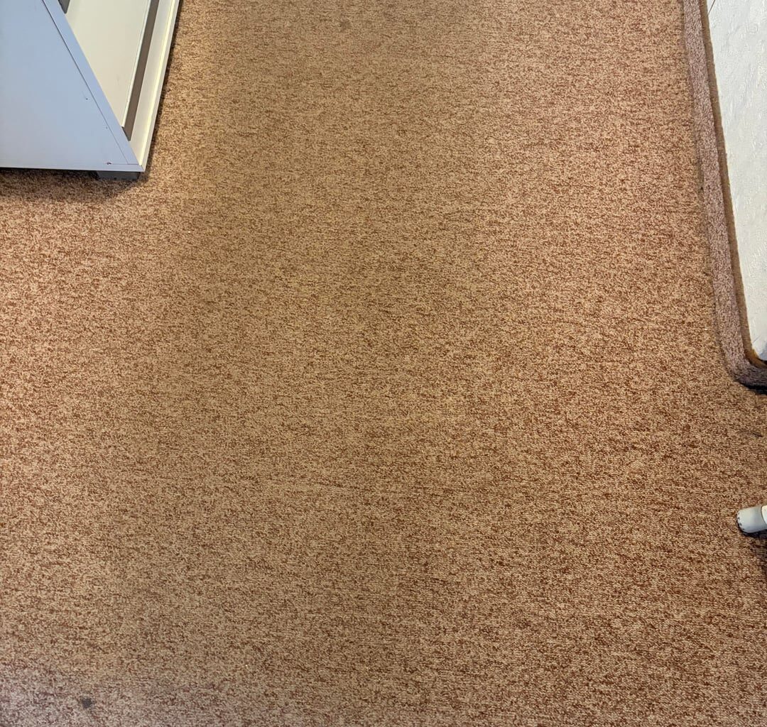 Carpet cleaning tips