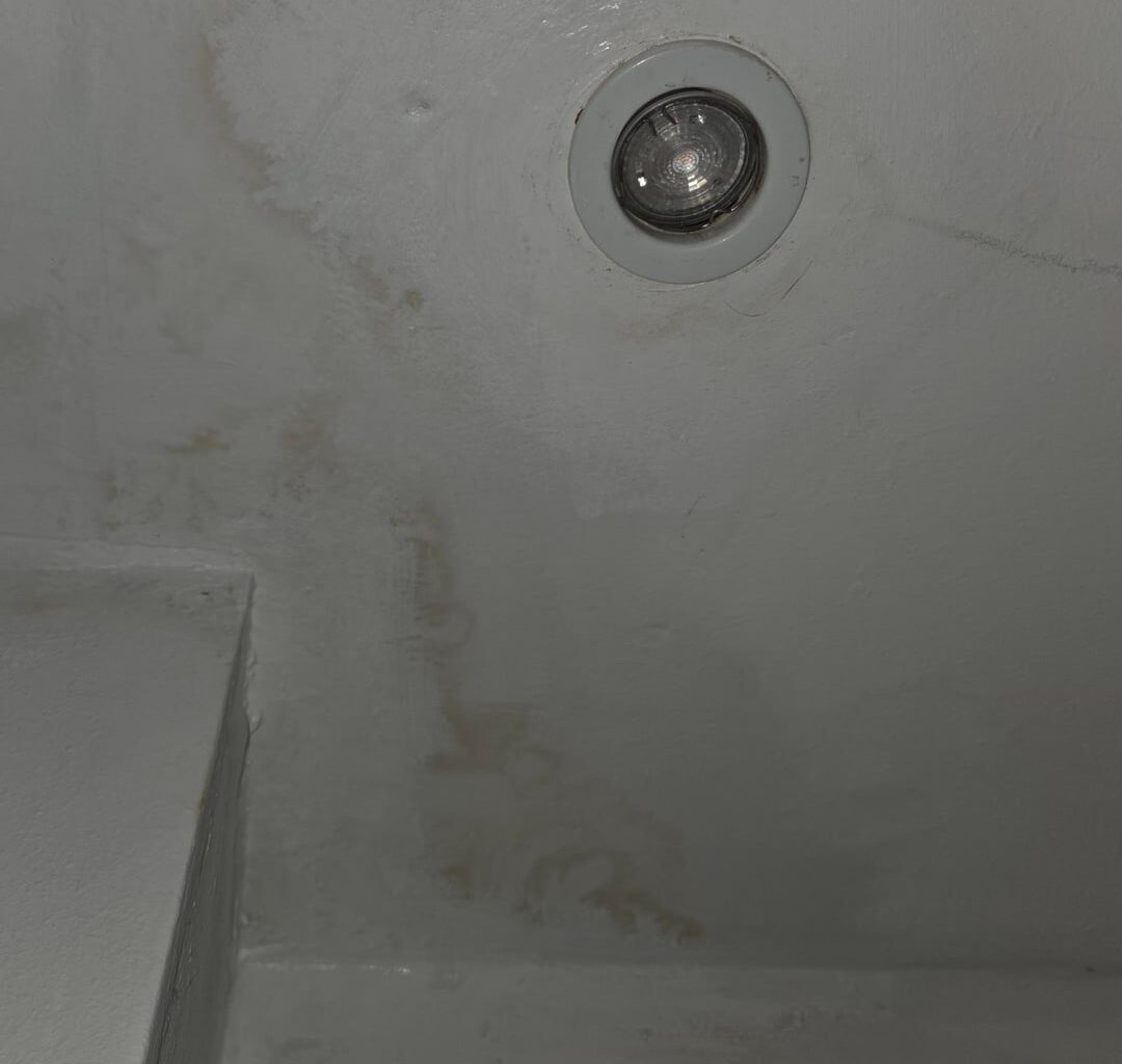 Tups on removing possible mold