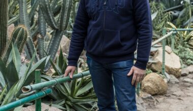 Kyiv's National Botanical Garden's battle to keep plants alive amid war, sub-zero temperatures